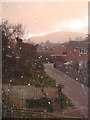 Bank Holiday Snow Shower at Fernhill Grove - 1