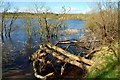 Lough Mourne near Carrickfergus (2)