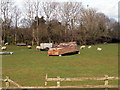 Shelter (upturned boat) for Sheep, Farlough Road, Portadown