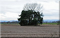 Mound near Auchtertyre