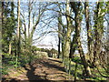 The track to the ruined St Gwenllwyfo Church and Bron Fuches farmhouse