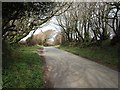 Lane north of Trefrew