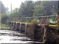 W2366 : Footbridge across River Lee at Carrignacurra Castle, Inchigeelagh by Richard Fensome