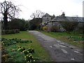 Danevale Park Stables