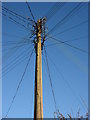 Telegraph pole with many lines