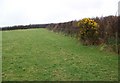 SS5242 : Field boundaries near West Down by Maigheach-gheal