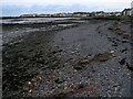 Shoreline at Donaghadee [2]