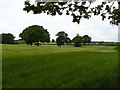 Pollardshill Farm from across fields