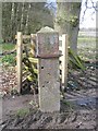 Gatepost and benchmark at Gwysaney