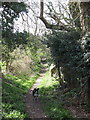 Path from All Saints Church