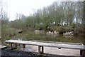 Pond used for pond dipping at Ryton Pools Country Park