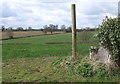 Fields and countryside east of Fordham