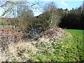 Approaching Park Wood