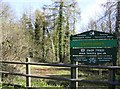 Llanbradach Woods