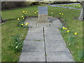 SE5954 : York Aerodrome Plaque with daffodils by Cathy Brown