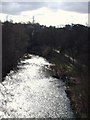 River Kelvin From Kirklee Road Bridge