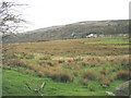SH5563 : Boggy flood plain of Afon Rhythallt with the village of Cwm-y-glo in the background by Eric Jones