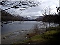 Ullswater shoreline