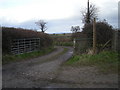 Bridleway to Uppington