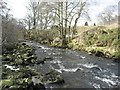 The River East Allen near The Holms