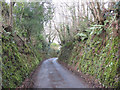 Sunken lane, Parracombe