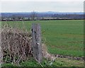 Farmland near Norton-Juxta-Twycross