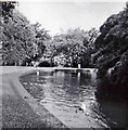 Bicclescombe Park, Ilfracombe, Devon taken 1960