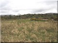 Rough pasture south of Bethel village