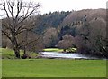 Meander of the Teifi near Alltybwla, Llandygwydd