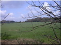 Wheatfield & Woods seen from Hinton Way