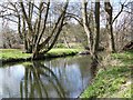 River Nadder, Tisbury