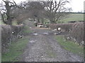 Bridleway with Sheep