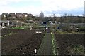 Allotments - Station Road, Kippax