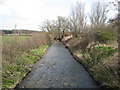 River Meden at Perlethorpe