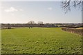 Fields between Hill Farm and Netherhill Farm, Durley