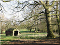 Shelter in cattle pasture