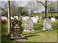 Middle section of Denmead Burial Ground