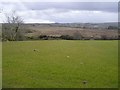 Brockagh Townland