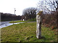 Cornish Cross at Fenterleigh