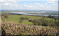 View from Dean Hill to the Severn