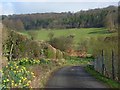 Farm road, Lower Vicar