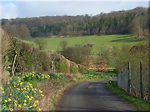 SU7395 : Farm road, Lower Vicar's Farm, Lewknor by Andrew Smith