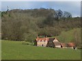 Cottage and woodland, Wormsley Estate