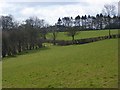 Pasture, Stokenchurch