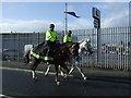 Mounted police