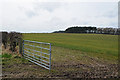 NT9545 : Gate and Farmland by Peter Gamble