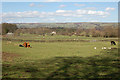 Fields Near Hag Farm