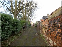 SE4104 : Doing The 'Lambeth Walk' by Steve  Fareham