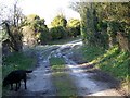 Gypsy Lane, Coombe Bissett