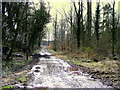 Former Railway at Fochabers